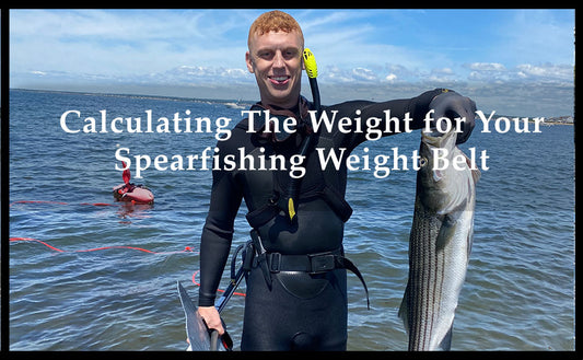How to Calculate Your Weight Belt Weight When Spearfishing