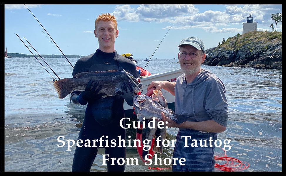 Spearfishing for Tautog From Shore –