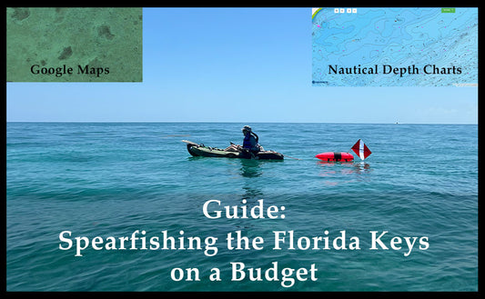 Spearfishing the Florida Keys on a Budget Guide