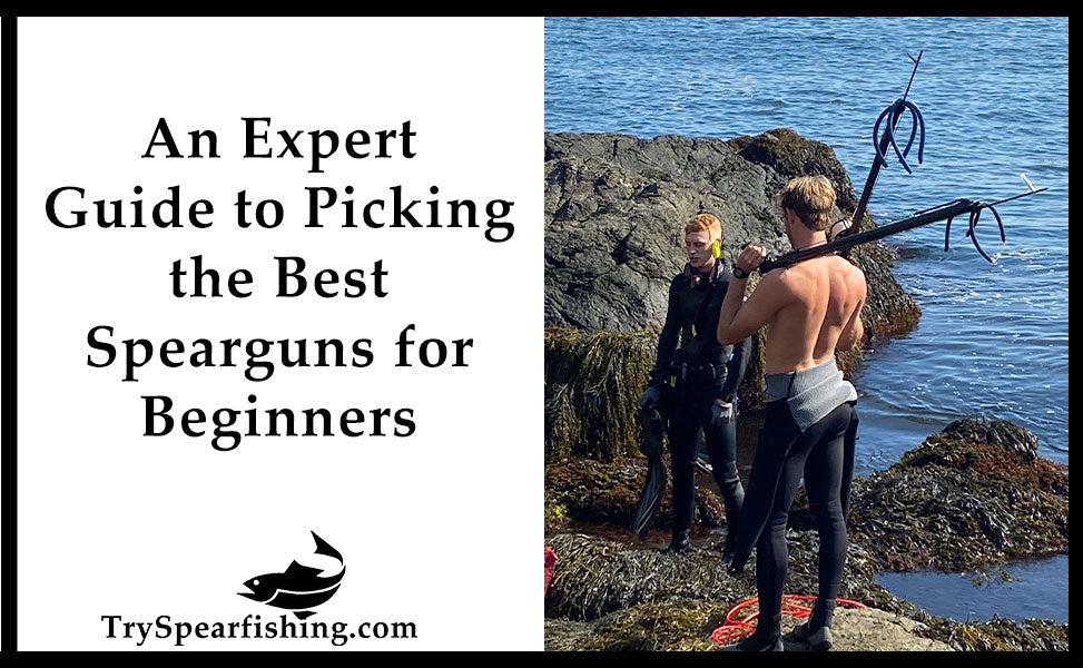 Types of spearguns and why band-powered guns suit beginners