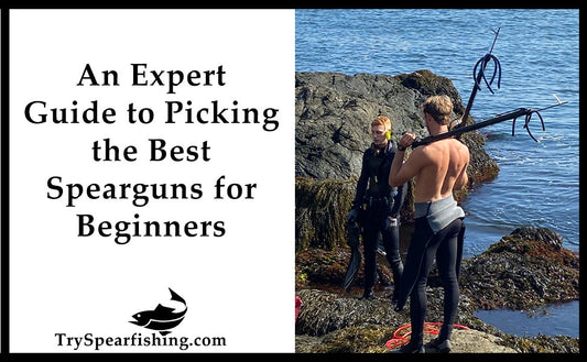 The Best Spearguns for beginners