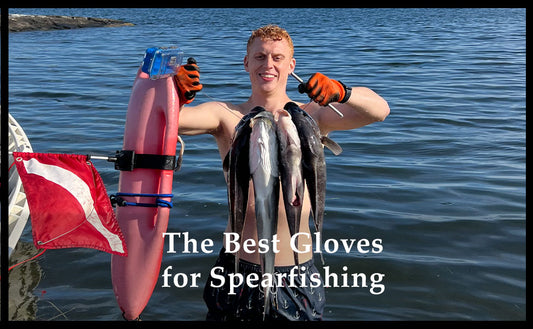 The best spearfishing gloves for warm and cold water