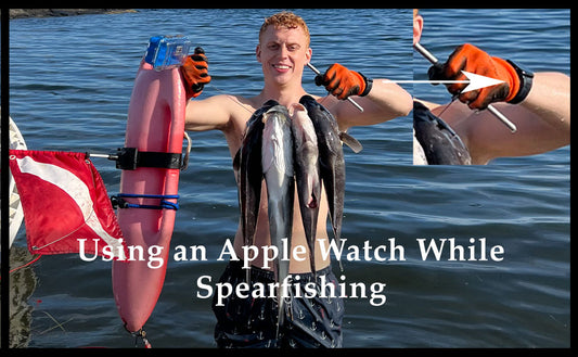 Using an apple watch for spearfishing as a dive watch