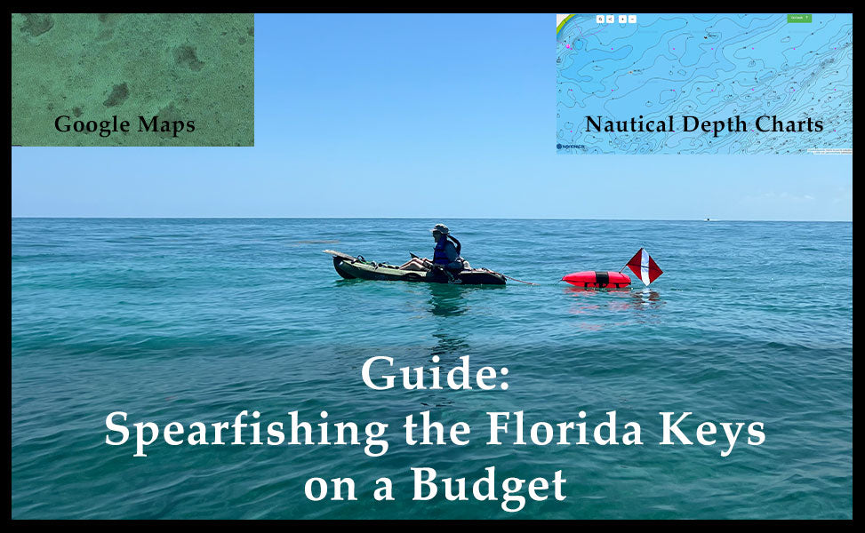 Spearfishing the Florida Keys on a Budget Guide